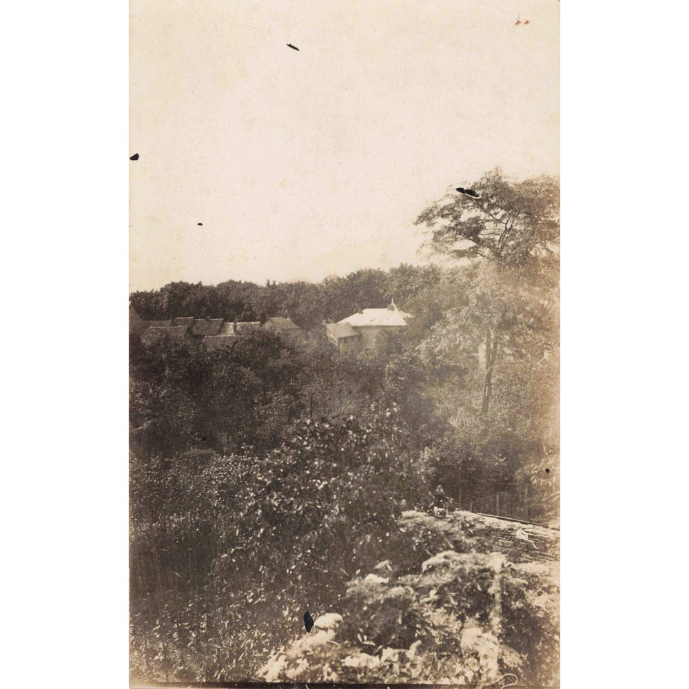 RPPC Scenic Landscape View Houses in Wooded Valley c1910 Real Photo Postcard